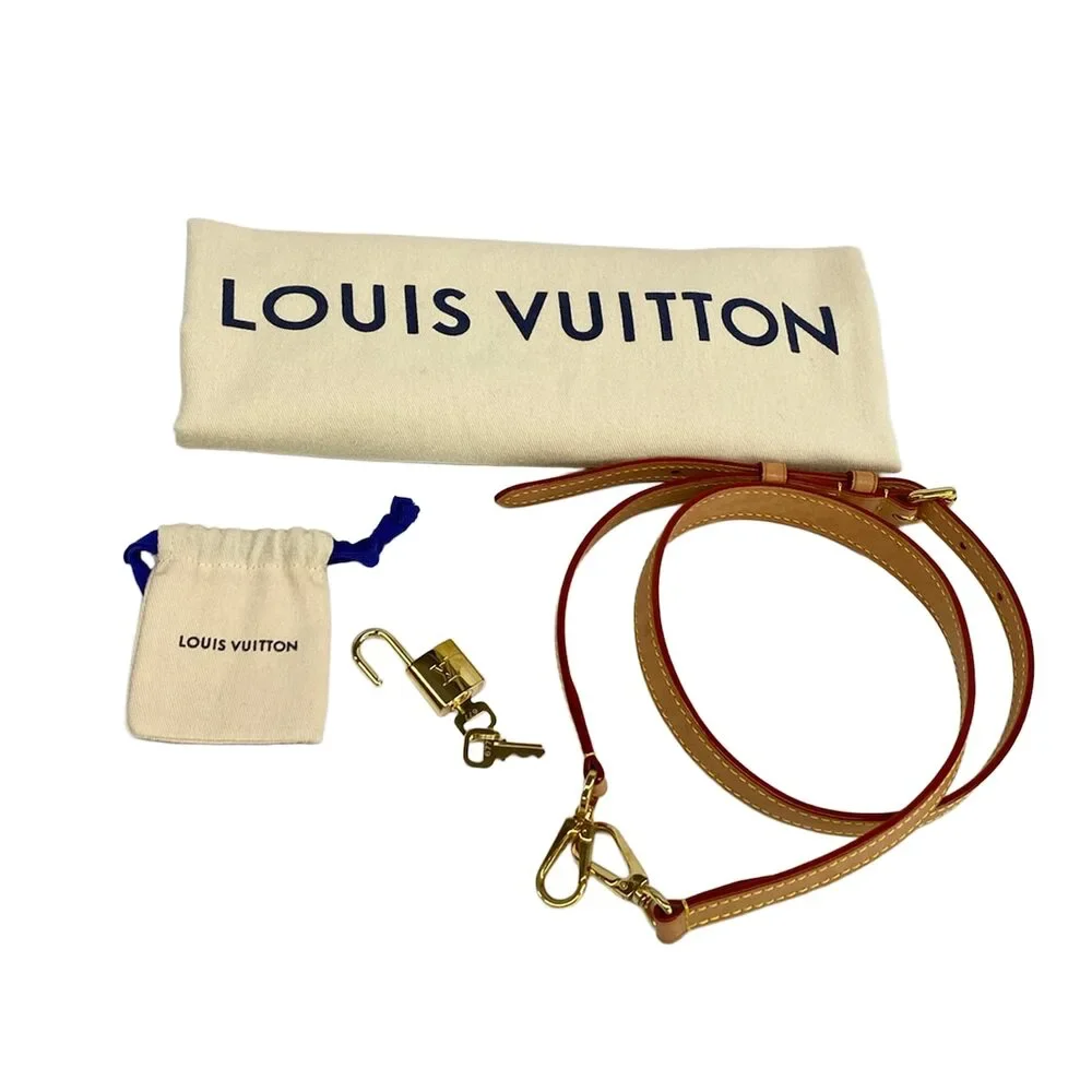 Louis Vuitton Petit Palais PM Monogram Handbag M45900